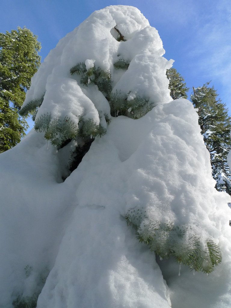Christmas2010 041.JPG